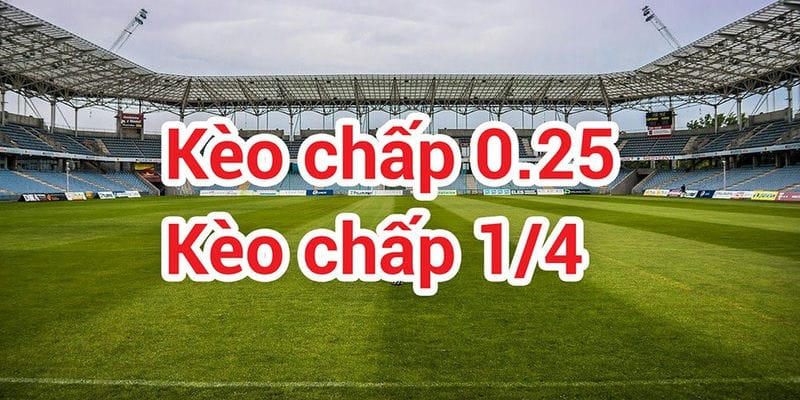 Kèo chấp 1/4: Khái niệm chi tiết và bí quyết đánh đâu thắng đó