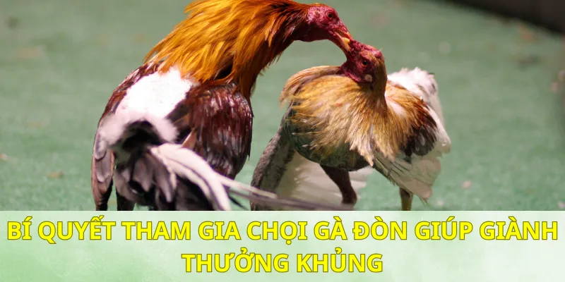 Kinh nghiệm tham gia để tận hưởng trọn vẹn niềm vui