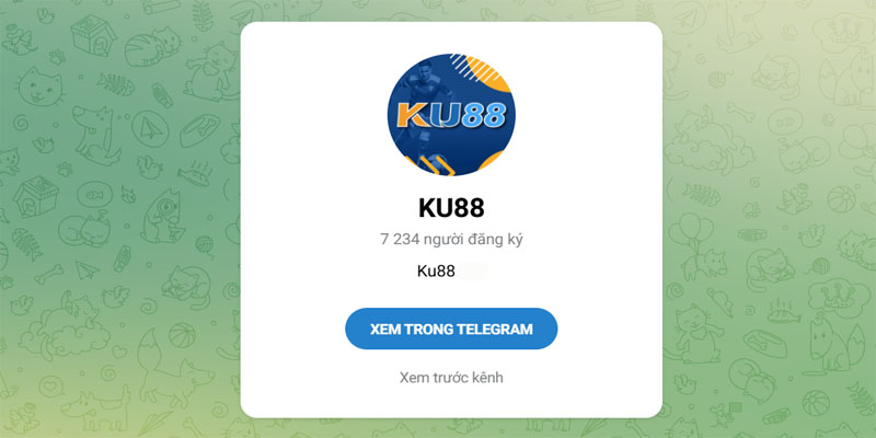 Kết nối với bộ phận hỗ trợ thông qua kênh Telegram