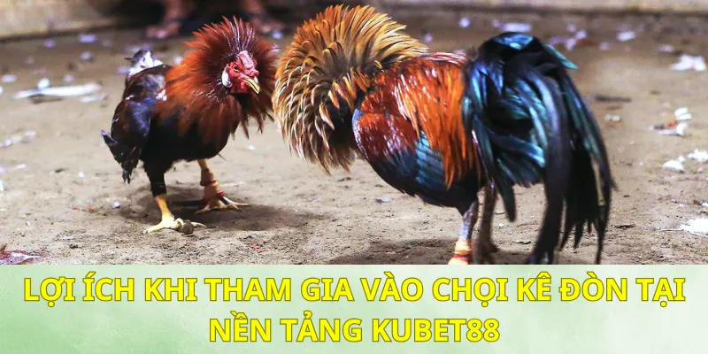 Một số lợi thế khi tham gia người chơi có thể nhận được