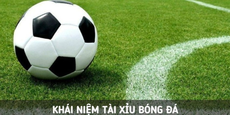 Bạn nên hiểu rõ tài xỉu là gì trước khi bắt đầu vào kèo